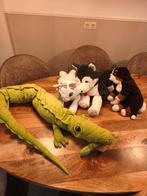 Knuffel dieren collectie, Ophalen of Verzenden, Overige typen