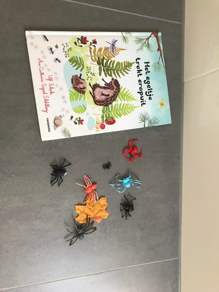 Boek ‘Het egeltje trekt eropuit’ met kleine spinnetjes, Ophalen of Verzenden