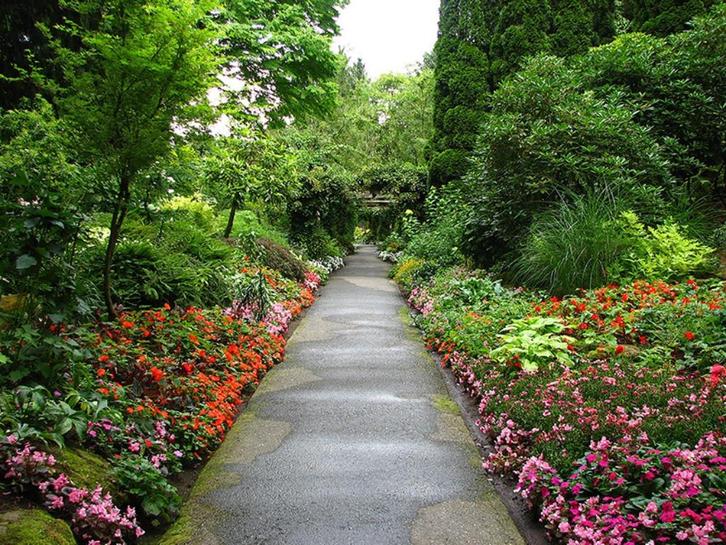 Tuinposter 150 x 200 cm (h x br.), Tuin en Terras, Tuinwanddecoratie, Nieuw, Verzenden