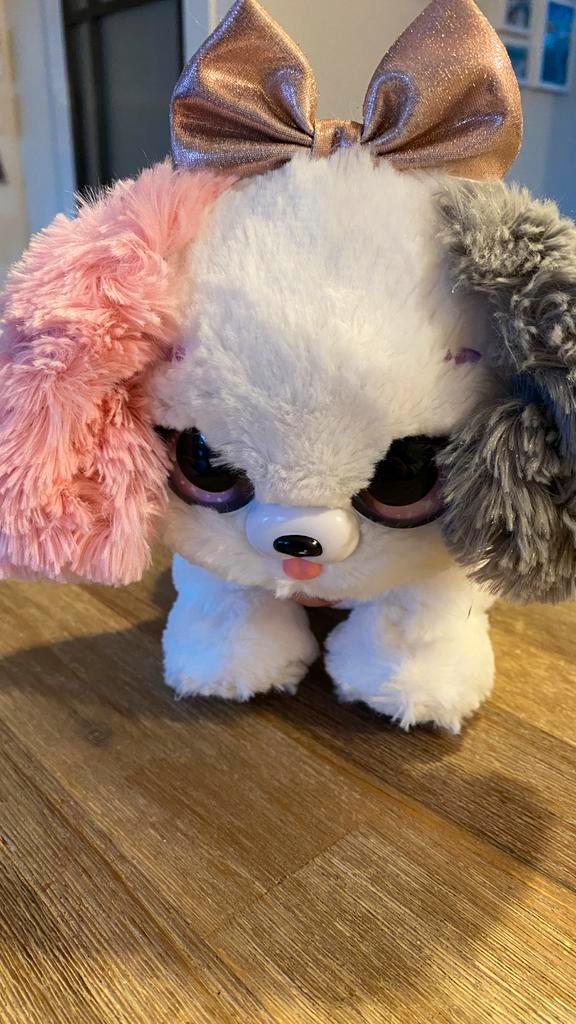 Present pet hondje, Kinderen en Baby's, Speelgoed | Knuffels en Pluche, Zo goed als nieuw, Hond, Ophalen of Verzenden