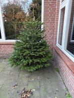 Kerstboom nordmann, Ophalen, Nieuw