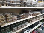 Baardagamen, luipaardgekkos, kameleons, koningspythons etc., Dieren en Toebehoren, Overige soorten, Met terrarium, 0 tot 2 jaar