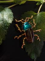 Grote kever broche, insect, bug, Overige materialen, 4 tot 7 cm, Verzenden, Nieuw