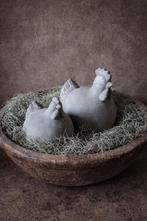 Kippen, Ophalen of Verzenden, Nieuw