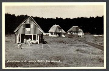Oude Ansicht Nes Ameland Zomerhuizen Zwarte Bocht 1959 Frl. beschikbaar voor biedingen