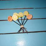Grapefruit prikkers 6 stuks, Ophalen, Gebruikt, Kunststof, Los bestek