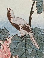 Prent Japan 20e eeuw Vogel, Minder dan 50 cm, Minder dan 50 cm, Schilderij, Zo goed als nieuw
