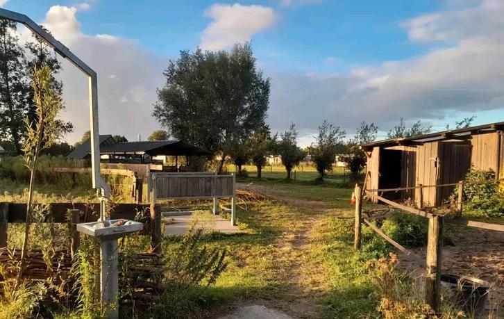 Gezocht: paardenliefhebbers/verzorg(st)ers, Dieren en Toebehoren, Stalling en Weidegang