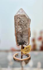 Red Scarlet Lemurian 01, Verzenden