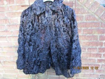 bont jasje kort zwart Astrakan  beschikbaar voor biedingen