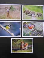 Natuurkaarten: Pieter van Vollenhoven, Fonds Slachtofferhulp, Verzamelen, 1980 tot heden, Foto, Nieuw, Ophalen of Verzenden