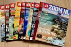 Zoom fotografie tijdschriften jaargang 2012, Boeken, Tijdschriften en Kranten, Ophalen, Zo goed als nieuw, Overige typen
