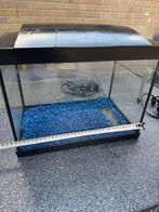 Aquarium Superfish, Ophalen, Zo goed als nieuw, Leeg aquarium