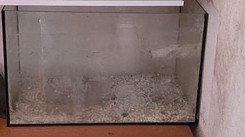 Aquarium  beschikbaar voor biedingen