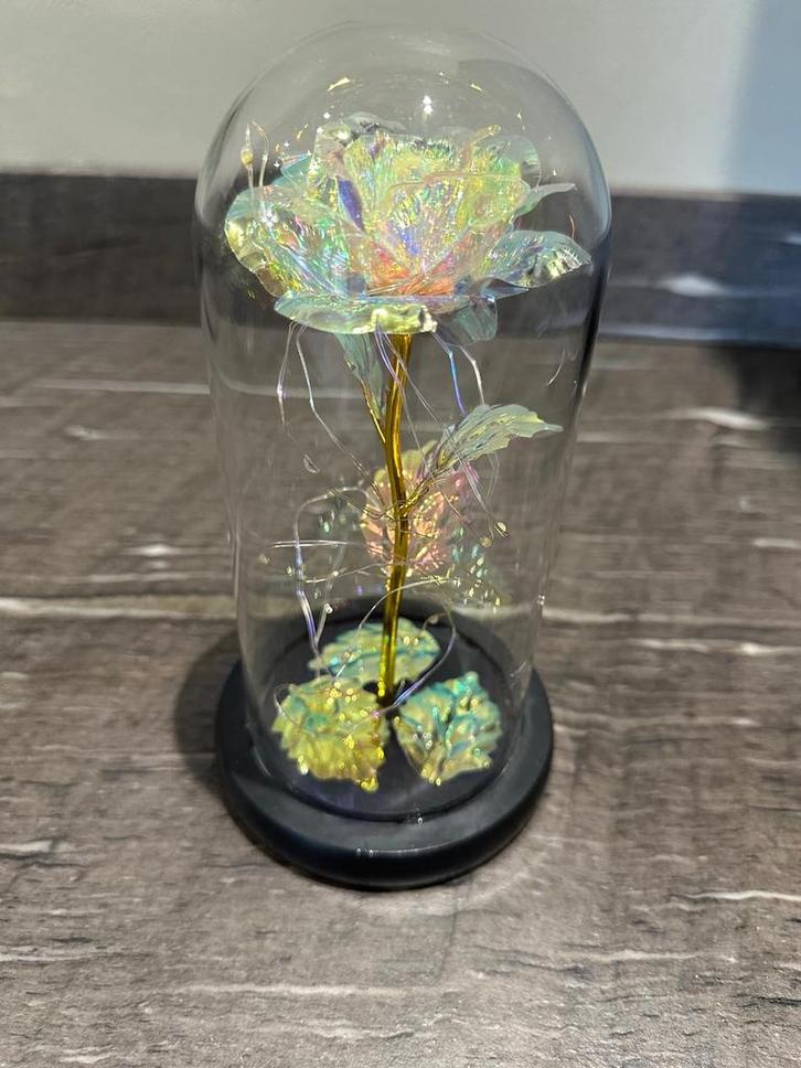 Eeuwige Roos met LED Verlichting, Antiek en Kunst, Antiek | Woonaccessoires, Ophalen of Verzenden