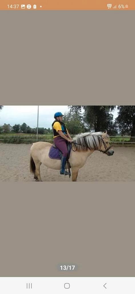 Gezocht goed koper paardrijlessen, Dieren en Toebehoren, Paarden en Pony's | Overige Paardenspullen, Nieuw, Recreatie, Ophalen