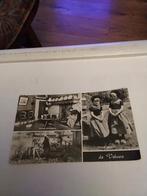 DE VELUWE. 1975., Verzamelen, Ansichtkaarten | Nederland, Ophalen of Verzenden, 1960 tot 1980, Gelderland