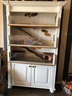 Gratis Caviaflat, Dieren en Toebehoren, Ophalen, 90 cm of meer, Hok, Cavia