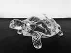 Schildpad Kristal Cristal d'Arques, Ophalen of Verzenden