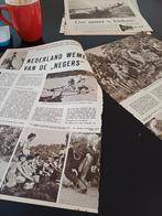 Artikel over Nederlandse padvinders vereniging eren Baden, Verzamelen, Ophalen of Verzenden, Zo goed als nieuw, Boek of Tijdschrift