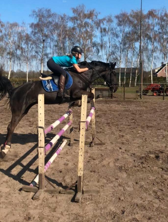 Bijrijder aangeboden / rijpaard gezocht, Dieren en Toebehoren, Paarden en Pony's | Overige Paardenspullen, Nieuw, Recreatie, Ophalen