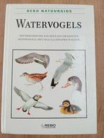 Stastny - Watervogels, Ophalen of Verzenden, Zo goed als nieuw, Paarden of Pony's, Stastny