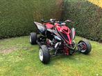 Yamaha raptor 700 R, Motoren, 12 t/m 35 kW, 1 cilinder, 700 cc