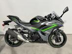 Kawasaki NINJA 500 SE (bj 2024), Bedrijf, 12 t/m 35 kW, Sport