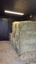 Hooi pakjes, Dieren en Toebehoren, Dierenvoeding, Ophalen, Vee