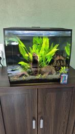 fluval flex 57l aquarium met veel toebehoren, Ophalen, Gebruikt, Leeg aquarium