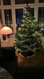 Mooie kerstboom te koop van 1 jaar oud., Diversen, Ophalen of Verzenden, Zo goed als nieuw