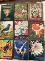 9x Verkade Album totaal € 50,00, Boeken, Prentenboeken en Plaatjesalbums, Ophalen of Verzenden, Gelezen