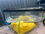 Aquarium 150x50x50 gratis op tehalen, Dieren en Toebehoren, Vissen | Aquaria en Toebehoren, Ophalen of Verzenden, Gebruikt, Leeg aquarium