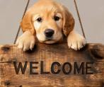 golden retriever puppy houten welcome bord 10 -20cm, Verzenden, Nieuw