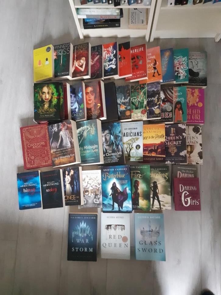 YA / NA boeken, engels talig - zie lijst met omschrijving, Boeken, Fantasy, Ophalen of Verzenden