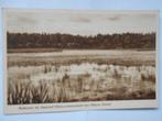 Saasveld het Molenven natuurmonument van Natura Docet ven, Verzamelen, Gelopen, Ophalen of Verzenden, Overijssel, 1920 tot 1940