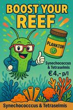 Verse Synechococcus & Tetraselmis plankton, Dieren en Toebehoren, Vissen | Aquaria en Toebehoren, Ophalen of Verzenden, Zo goed als nieuw