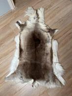 Rendierenvel uit Lapland, Ophalen, Gebruikt, 100 tot 150 cm, Wit