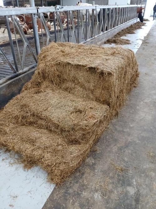 balen kuil, Dieren en Toebehoren, Dierenvoeding, Vee, Ophalen