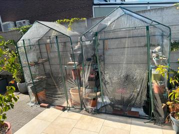 2x plastic tuinkasjes / kweekkasjes beschikbaar voor biedingen