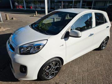 Kia Picanto 1.0 Colourline KLIMA LEDER 14'LMV LED SPECIAL ED beschikbaar voor biedingen