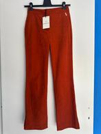 Mooie HARPER & YVE broek met split, mast XS, Kleding | Dames, Broeken en Pantalons, Nieuw, Oranje, Ophalen of Verzenden, Lang