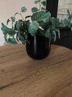 Mooie plantenpot, Ophalen of Verzenden, Zo goed als nieuw, Binnen