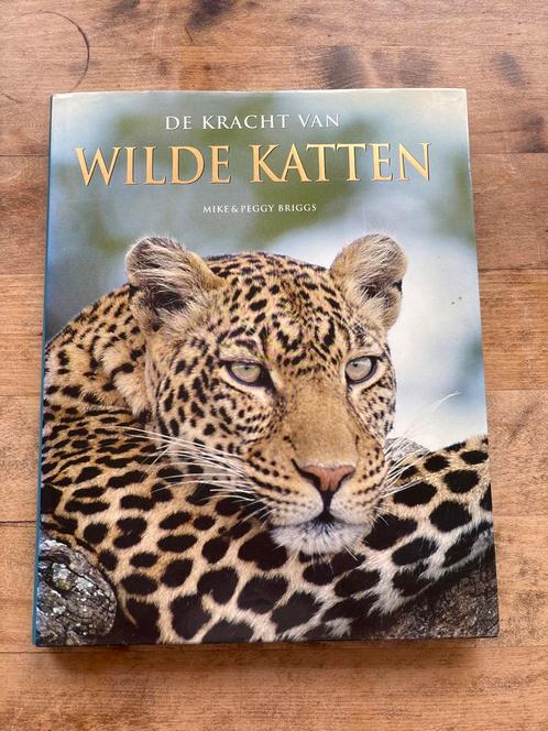 Wilde Katten Fotoboek - Mike & Peggy Briggs, Boeken, Natuur, Zo goed als nieuw, Natuur algemeen, Ophalen of Verzenden