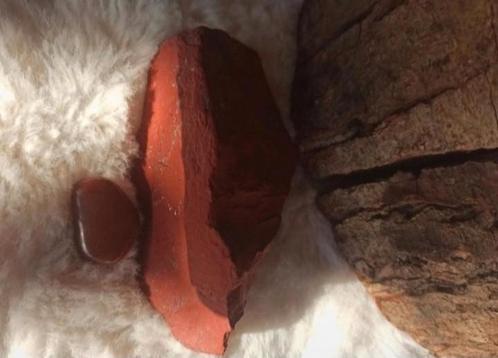 Ruwe Rode Jaspis + getrommeld zaksteentje., Sieraden, Tassen en Uiterlijk, Edelstenen, Zo goed als nieuw, Ophalen of Verzenden