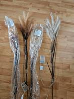 4 pluimtakken met verlichting (nieuw), Diversen, Kerst, Ophalen, Nieuw