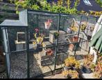 Hondenren / Kattenren / Voilere / Kennel / Panelen, Dieren en Toebehoren, Ophalen, Zo goed als nieuw, 110 cm of meer, 100 cm of meer