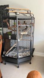 Keddoc xxl, Dieren en Toebehoren, Ophalen, Zo goed als nieuw, Metaal, Vogelkooi