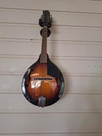 TE KOOP Mandoline Greg Bennett Design, Muziek en Instrumenten, Snaarinstrumenten | Mandolines, Ophalen, Zo goed als nieuw