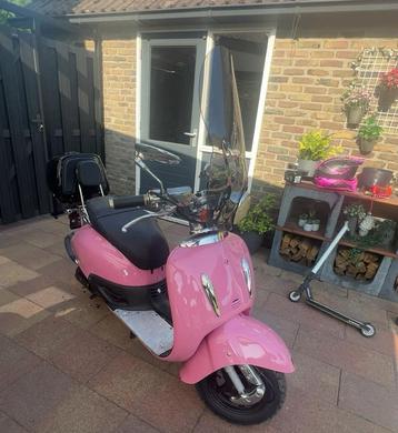 leuke roze retro beschikbaar voor biedingen